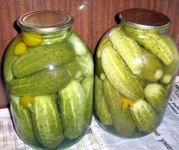 Маринованные огурцы - подборка лучших рецептов