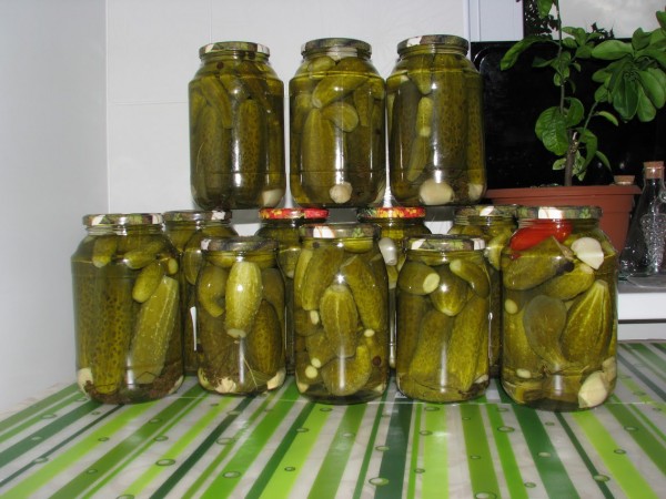 Маринованные огурцы - подборка лучших рецептов